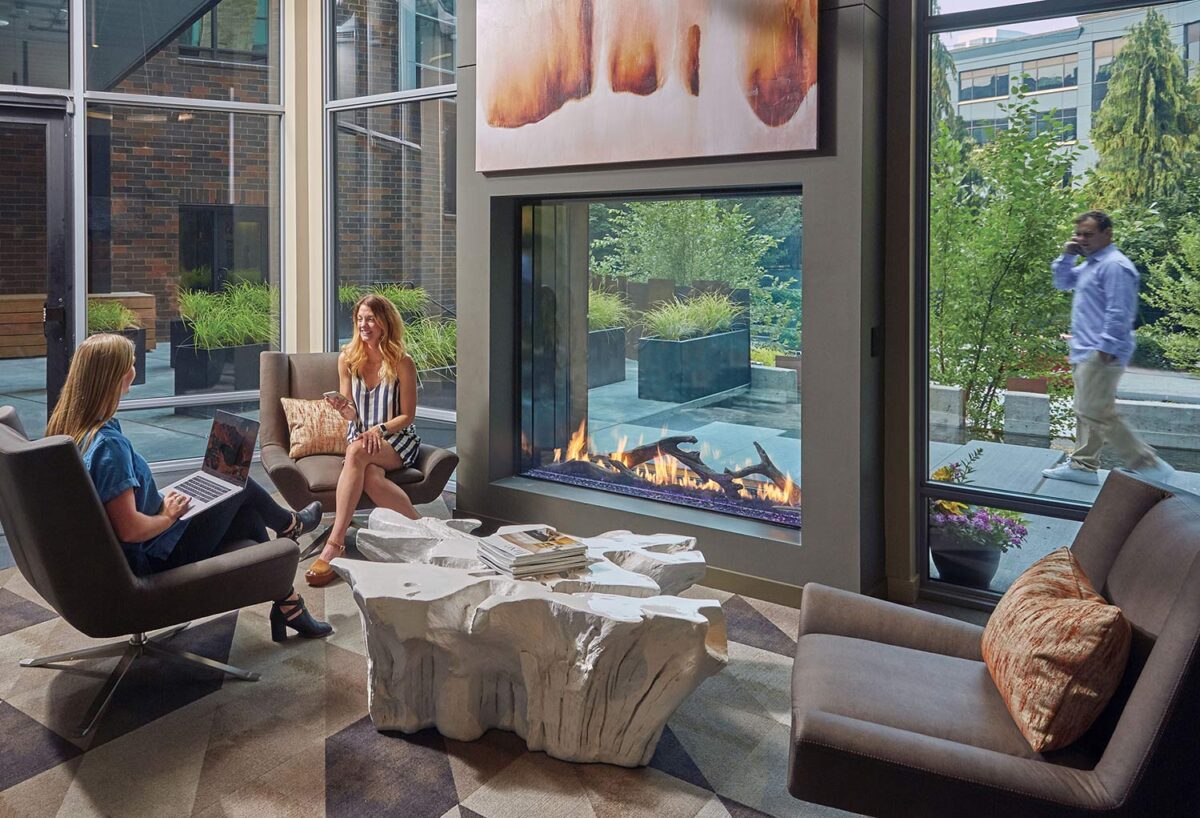 See-Thru Linear Gas Fireplaces | Modern Fireplaces | The DaVinci